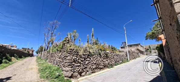street scene (46)