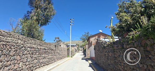 street scene (48)