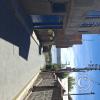 street scene (49)