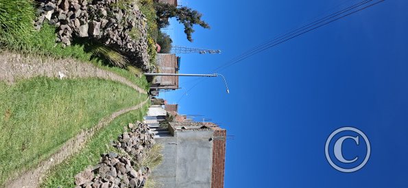 street scene (54)