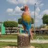 Parque 4ta Etapa