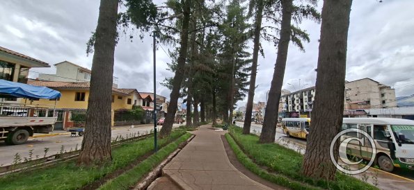 Av de la Cultura