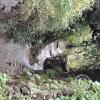 Caves - Pacarina Mosoqllaqta, above Av Teteccacca (10)