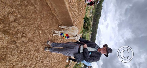 Me with an alpaca