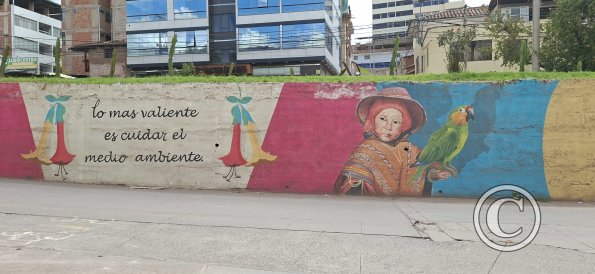 Mural at Av Tupac Amaru, Av Peru, and Av Qosqo (2)