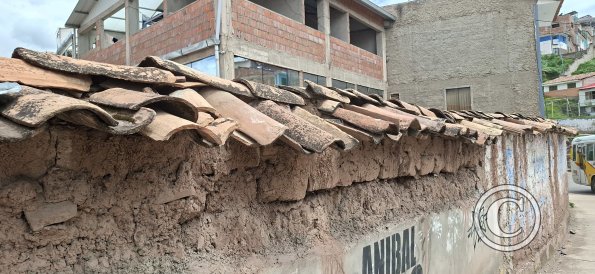 Old wall (3)