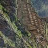 Ollantaytambo (100)