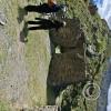 Ollantaytambo (71)