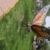 Riverside park (2)
