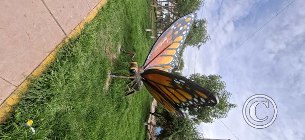 Riverside park (2)