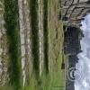 Saqsaywaman (36)