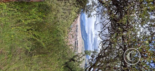 Saqsaywaman (39)
