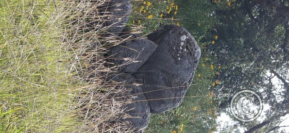 Saqsaywaman (40)