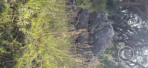 Saqsaywaman (41)
