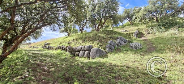 Saqsaywaman (44)