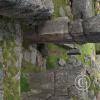 Saqsaywaman (51)