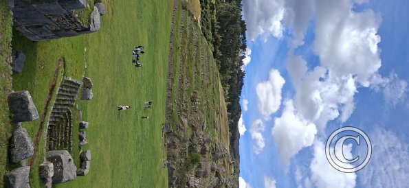 Saqsaywaman (53)