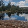 IMG_20250803_130356680_HDR