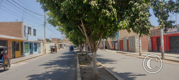Av. Olivar y Calle Gonzales Prada (2)