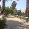 Balneario de Huacachina