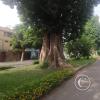 Calle Comercio near parque Abraham Valdeomar (4)