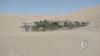 View of Huacachina from a sand dune outside of Huacachina (7)