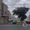 Av. Miguel Grau y Calle Moquegua