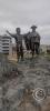 Malecon Costanera statues near Calle Las Rocas (3)