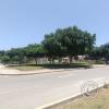 Parque - Urb. Sindicato de Choferes from Calle Los Laureles y near Calle Las Azucenas