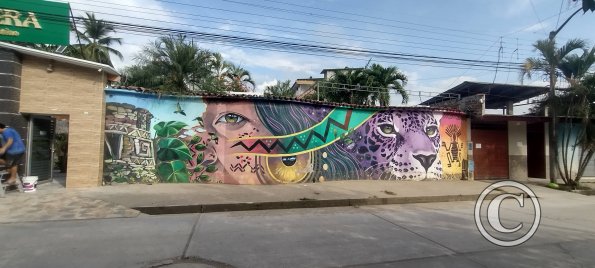 IMG_20250710_083237523_HDR