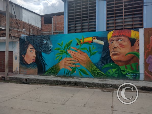 Mural - Jiron Loreto near Jiron Triunfo (2)