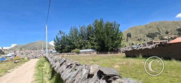 Old stone wall being protected by Ichu grass