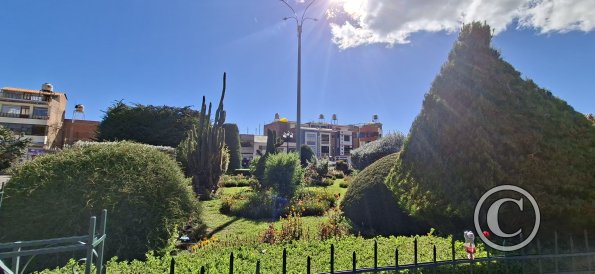 Plaza Mayor (12)
