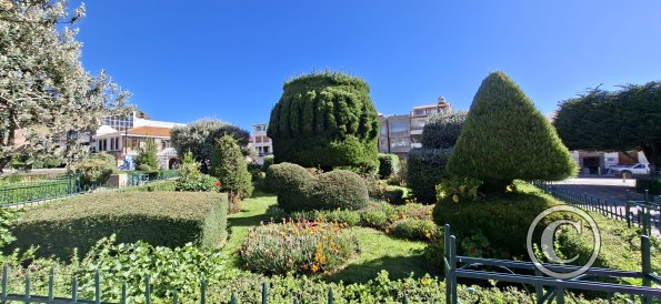 Plaza Mayor (5)