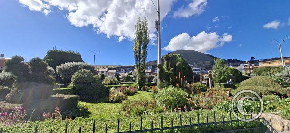 Plaza Mayor (7)