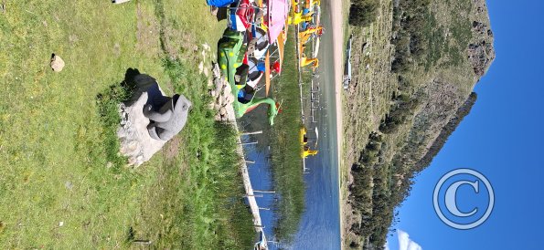 Rental paddle boats at the Puerto Muelle