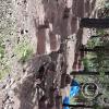Hillside Miniature Structures (3)