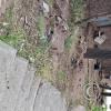 Hillside Miniature Structures (9)