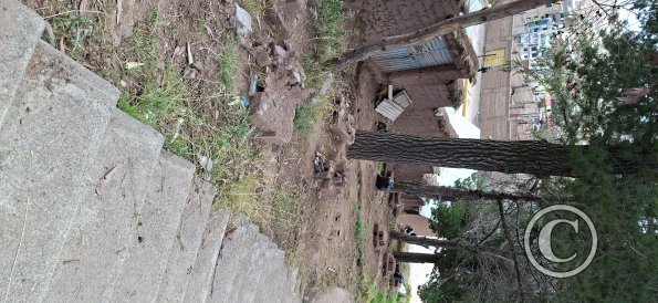 Hillside Miniature Structures (9)