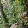 Fundo San José Parque Ecológico (10)