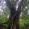 Fundo San José Parque Ecológico (4)
