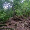 Fundo San José Parque Ecológico (6)