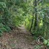 Fundo San José Parque Ecológico (9)