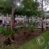 Plaza de Armas (2)