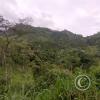 Road leading up to Mirador Cerro la Cruz (7)
