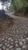 Road leading up to Mirador Cerro la Cruz