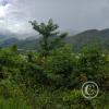 View from Fundo San José Parque Ecológico