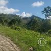 View from the road to Cerro de la Cruz (2)