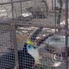 Zoologico Gallita De Las Rocas at Av. Castilla near Malecon 28 de Junio (97)