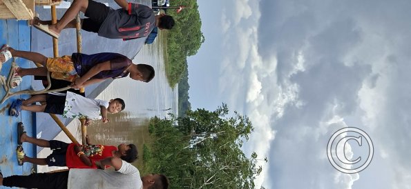 Rio Huallaga from the top of the cargo boat (2)
